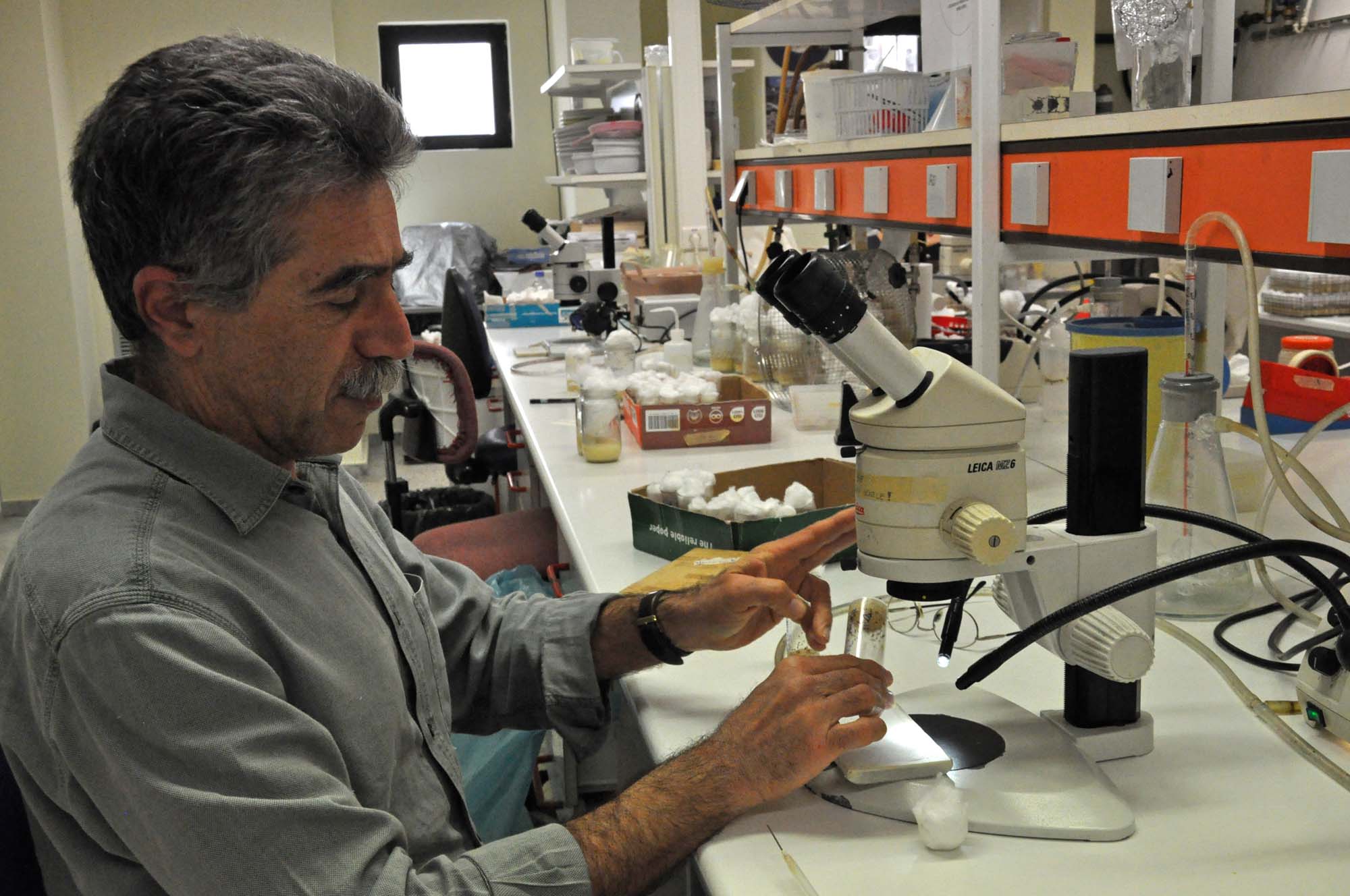 Christos Delidakis in the lab