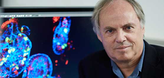 Professor Hans Clevers